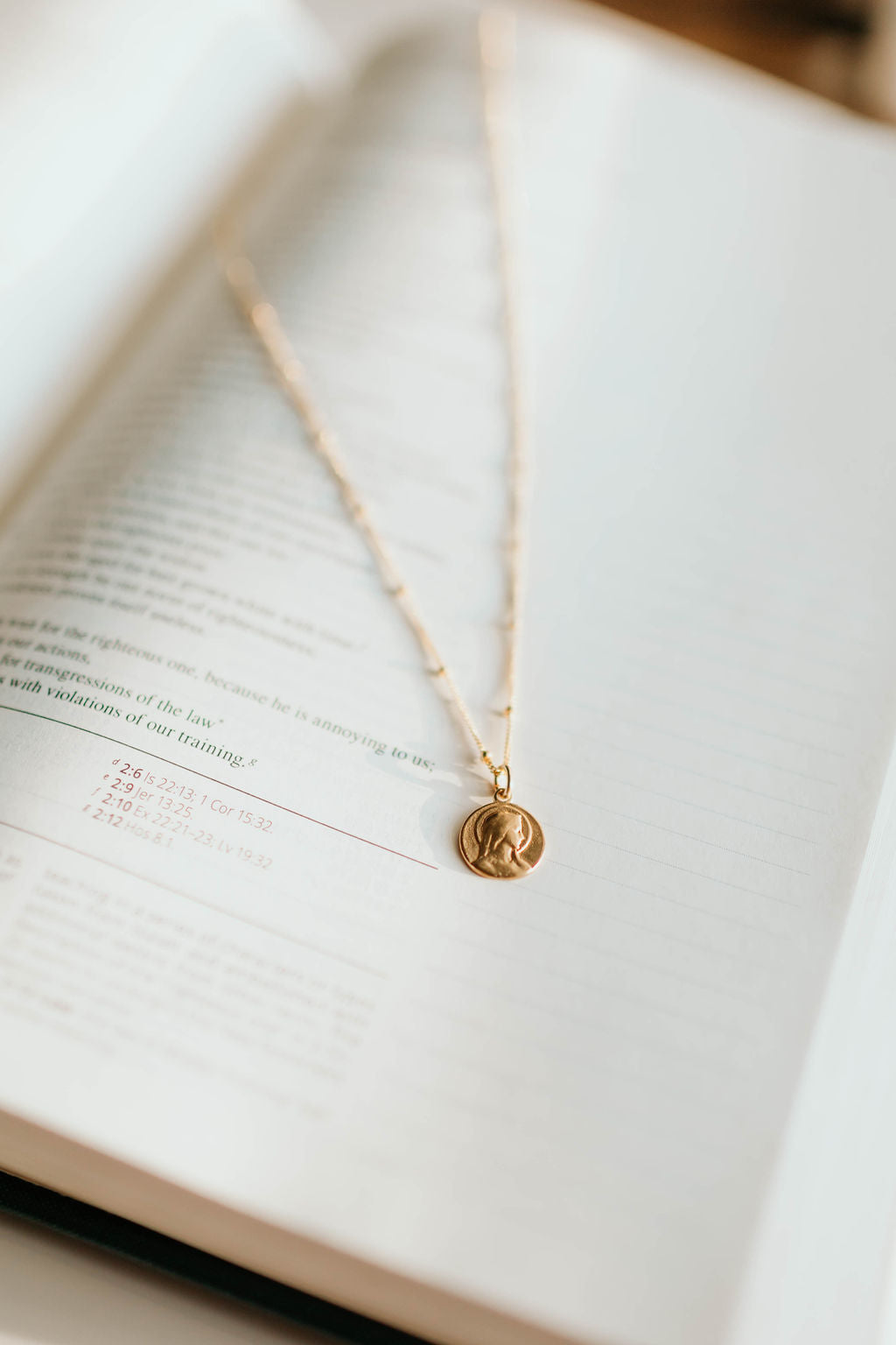 Our Lady of Lourdes Pendant
