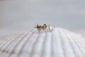 Holy Family Hearts® Ring in Sterling Silver