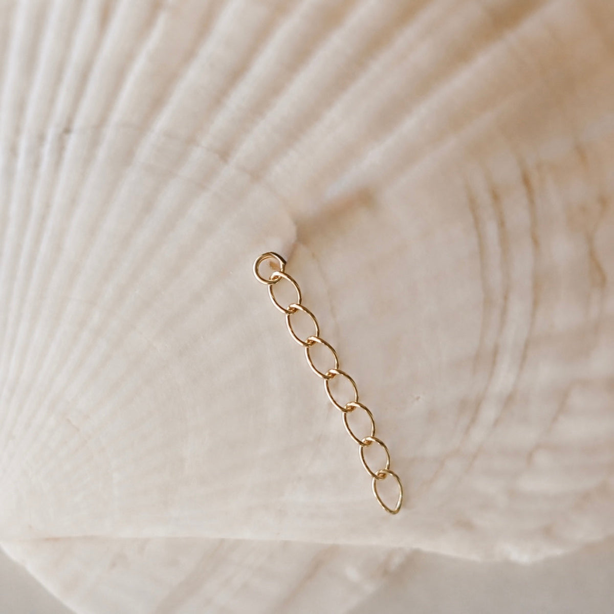 Miraculous Medal Link Bracelet